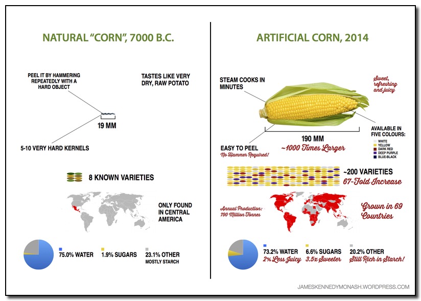 artificial-natural-corn